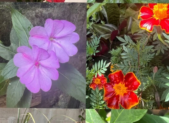 Onde está a santidade da Sexta-Feira Santa?