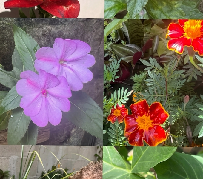 Onde está a santidade da Sexta-Feira Santa?